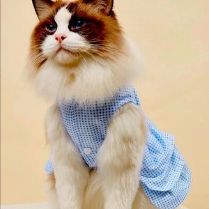 Blue adorable dress for pets ❤️
